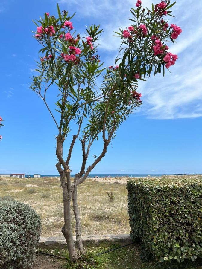 Beautiful Apartment 1 Minute Walk To The Beach Sagunto Zewnętrze zdjęcie